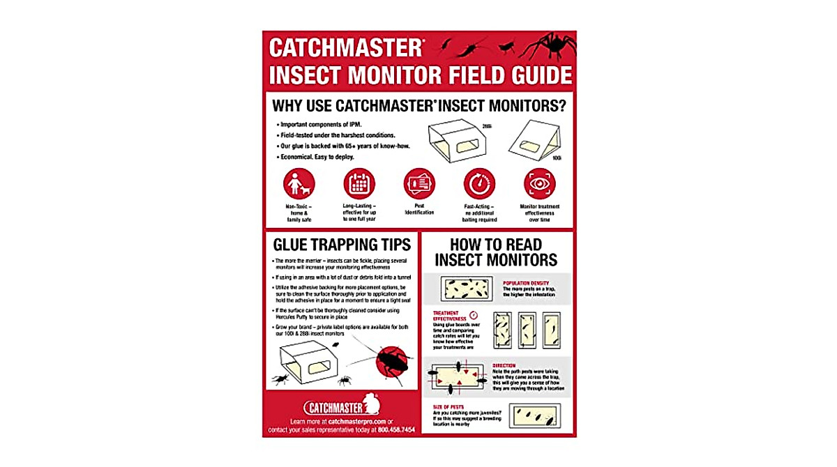 Catchmaster Spider & Insect Glue Traps | Safe Pest Control 30-Pack