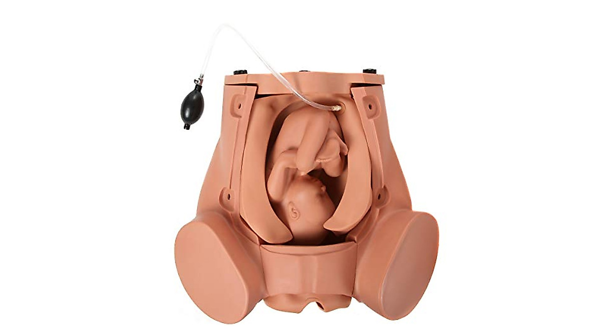 Anatomy Lab C-Section Simulator for Medical Practice