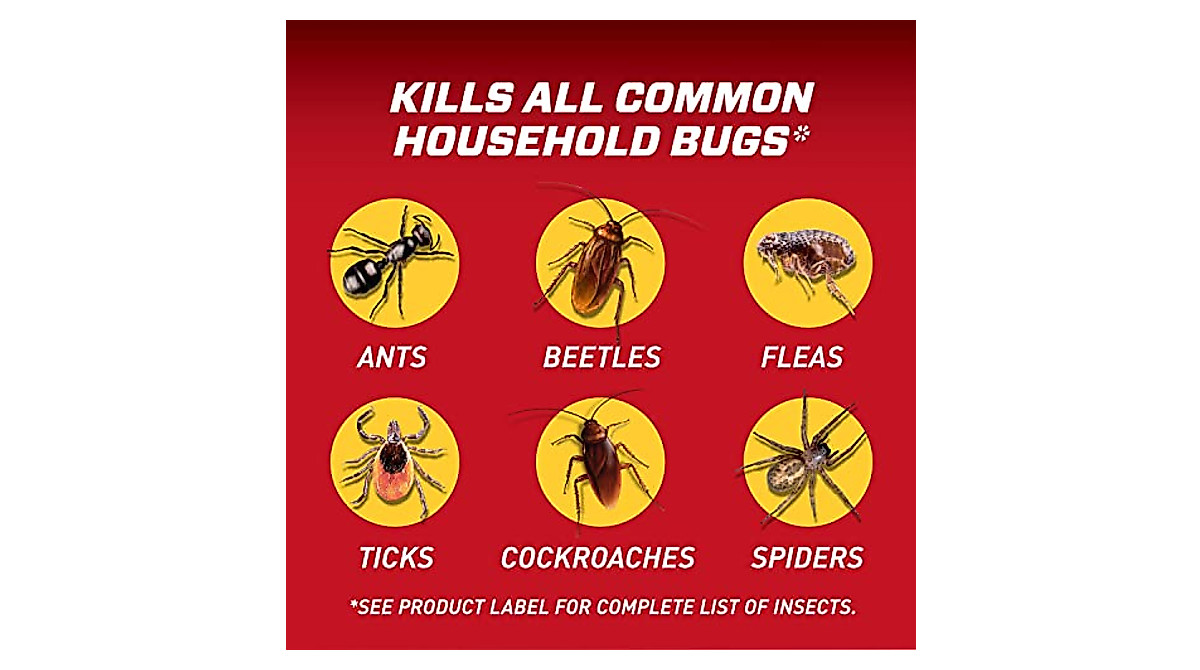 Ortho Home Defense: 12-Month Insect Killer + Comfort Wand