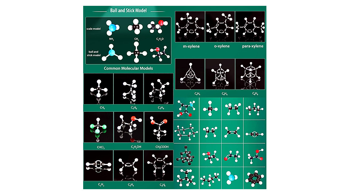 EXBEPE Organic Chemistry Model Kit - Fun Science Learning