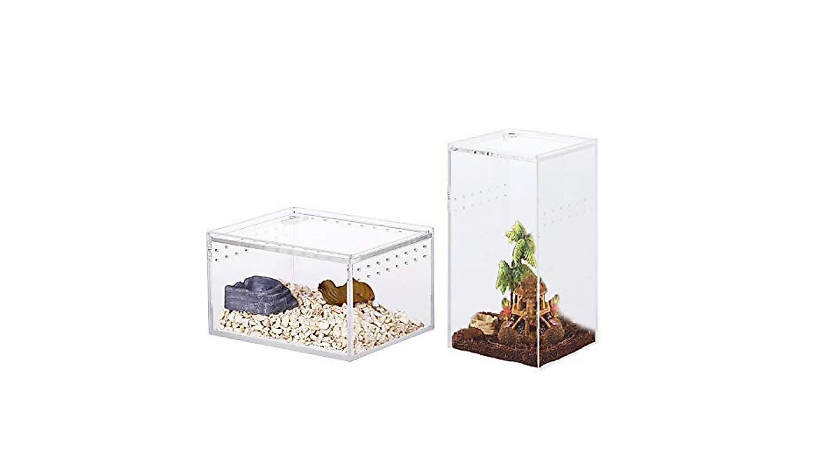 2 Pack Acrylic Reptile Terrarium for Insects & Lizards