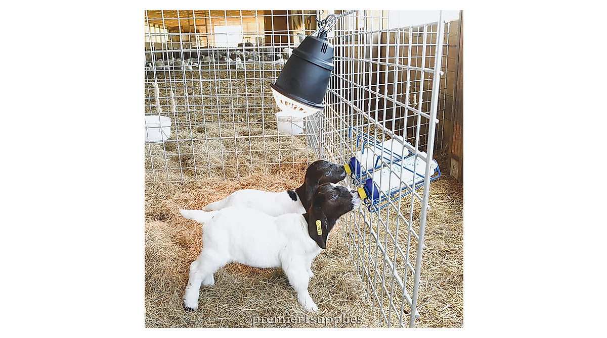 Premier Bottle Rack for Easy Lamb and Goat Feeding
