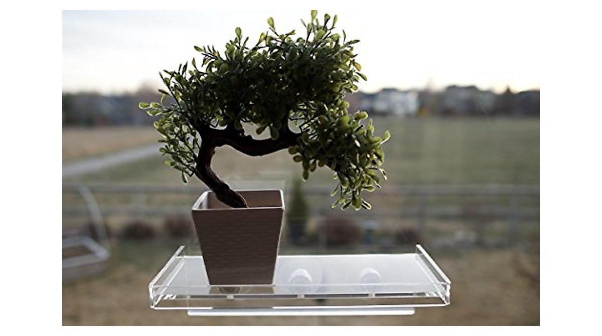 LaBrinx Medium Suction Cup Shelf for Plants & More