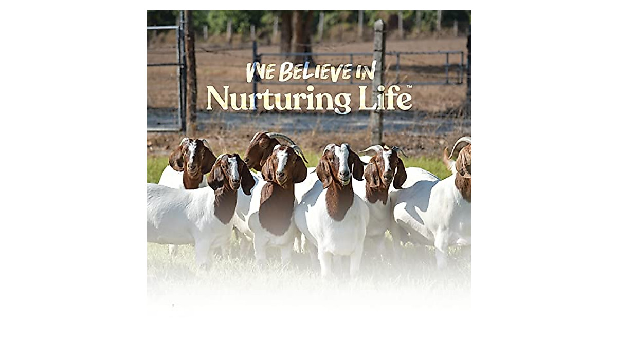 Manna Pro Goat Skin & Coat Supplement for Healthy Goats
