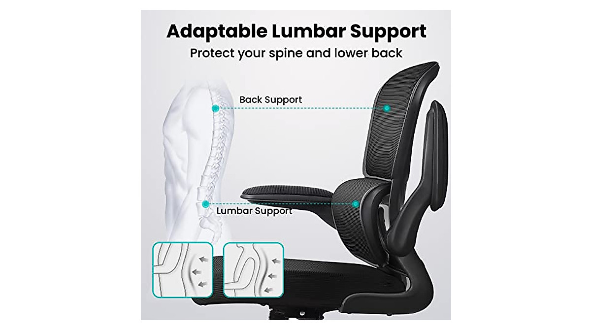 Razzor Ergonomic Office Chair with Lumbar Support