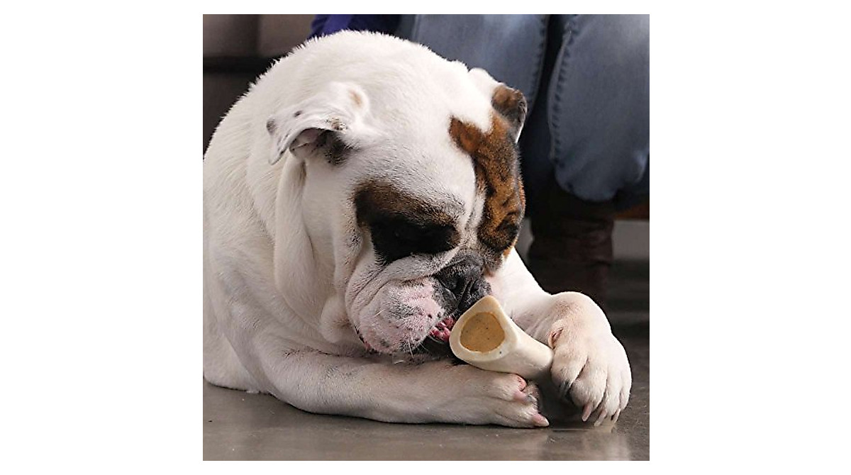 Filled Dog Bones - Long-Lasting USA-made Chews for Dental Health