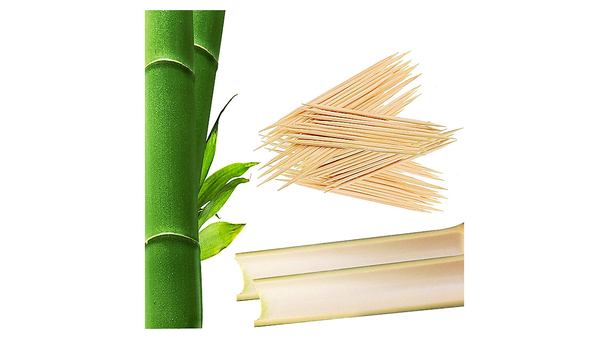 1000 Bamboo Toothpicks for Hygiene & Party Use | Mobi Lock
