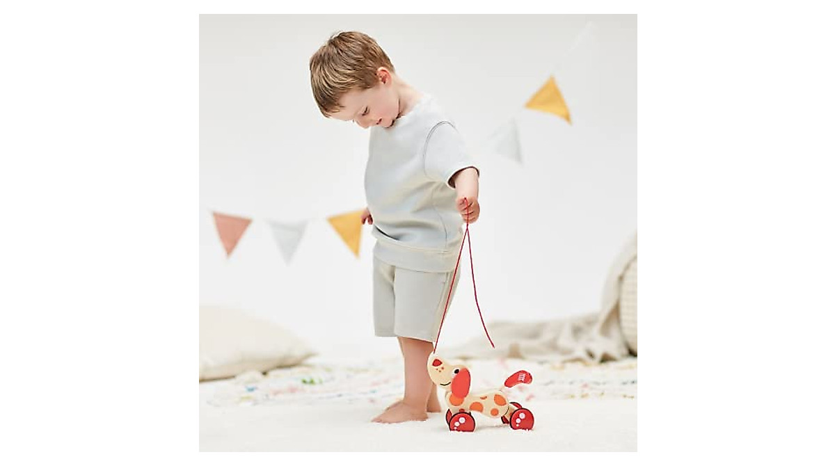 Hape Walk-A-Long Puppy Pull Toy for Toddlers