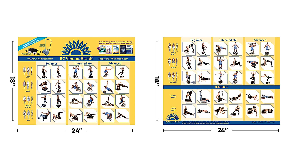 Full Body Vibration Workout Poster for Exercise Machine