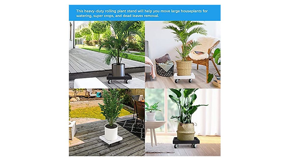 CAPRIZ Plant Caddy with Wheels - 7.9