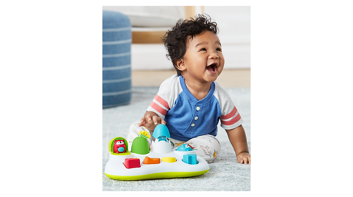 Skip Hop Color Sorting Toy for Toddlers - Develop Motor Skills