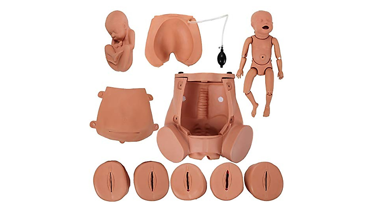 Anatomy Lab C-Section Simulator for Medical Practice