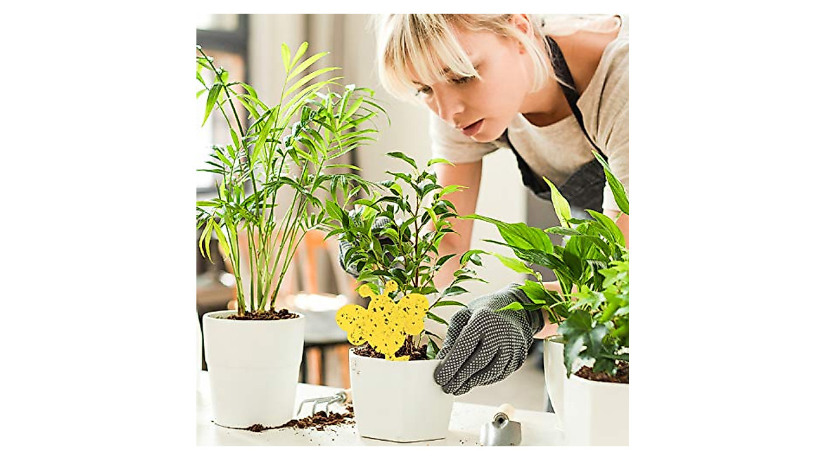 Kensizer 16pcs Yellow Sticky Traps for Effective Insect Control