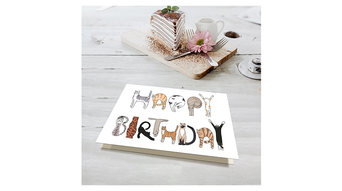 Funny Cat Lover Birthday Card - Bhiosng