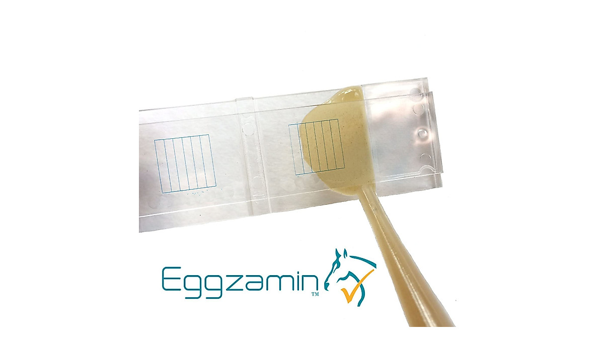 Bundle of 2 McMaster Microscope Slides for Fecal Egg Counts