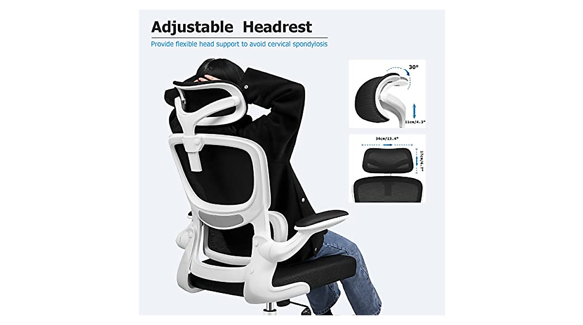 Razzor Ergonomic Office Chair with Lumbar Support