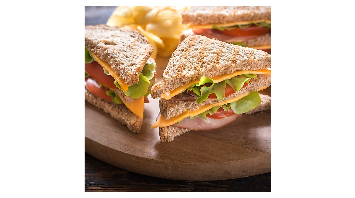 Holstein Griddle: Toast Panini & Snacks - Non-Stick Design