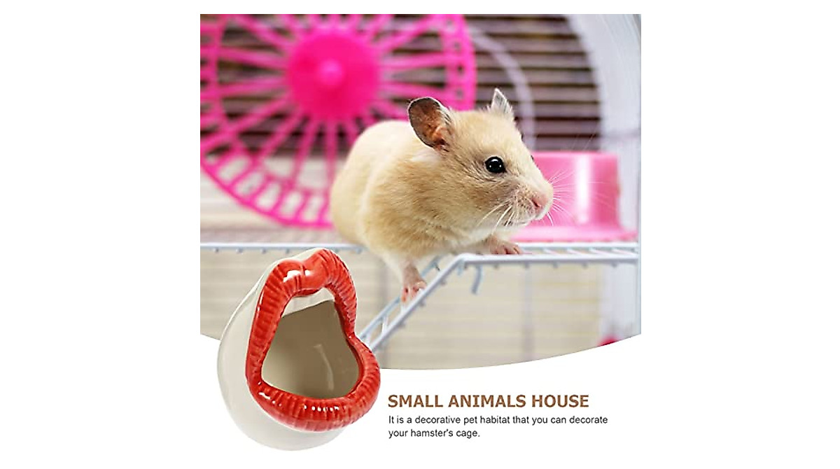 Curated visual reference: Fresh Look at Popetpop Hamster House Durable Ceramic Hideout For Small Pets