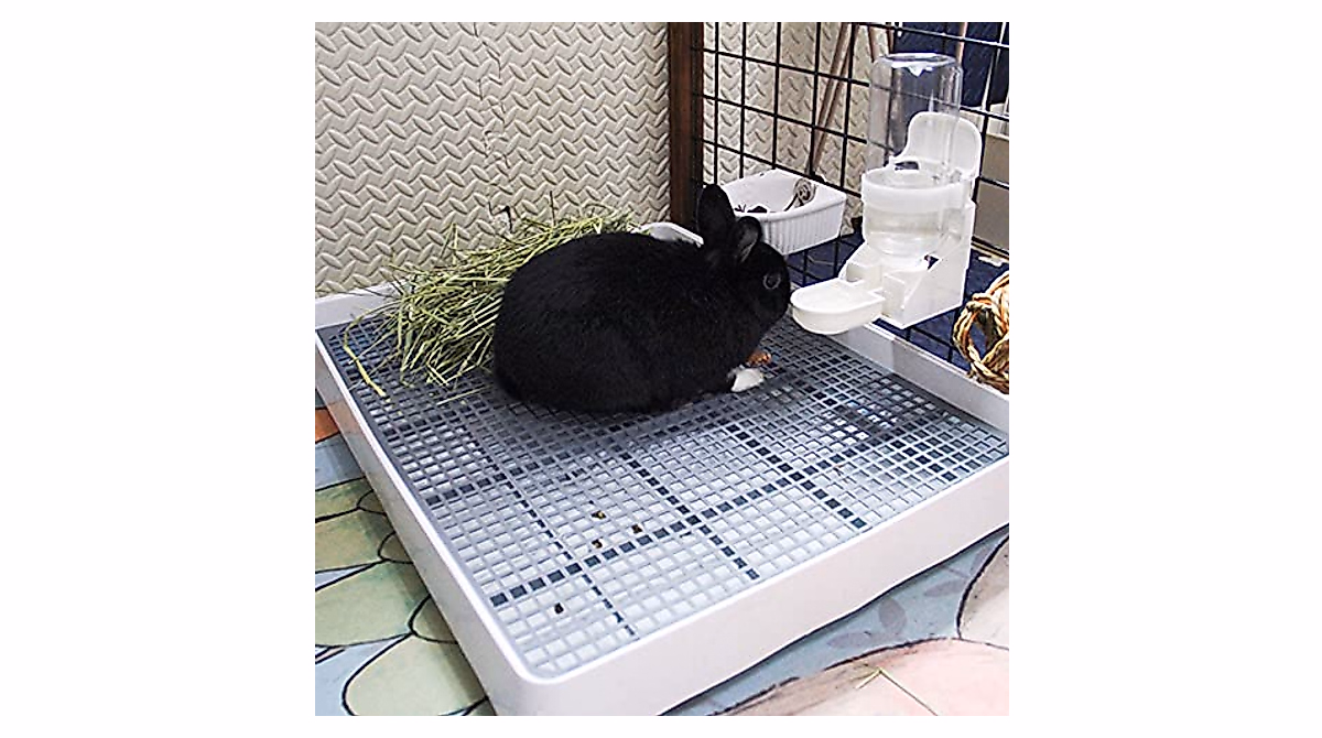 Extra Large Rabbit Litter Box - Keep Pets Clean