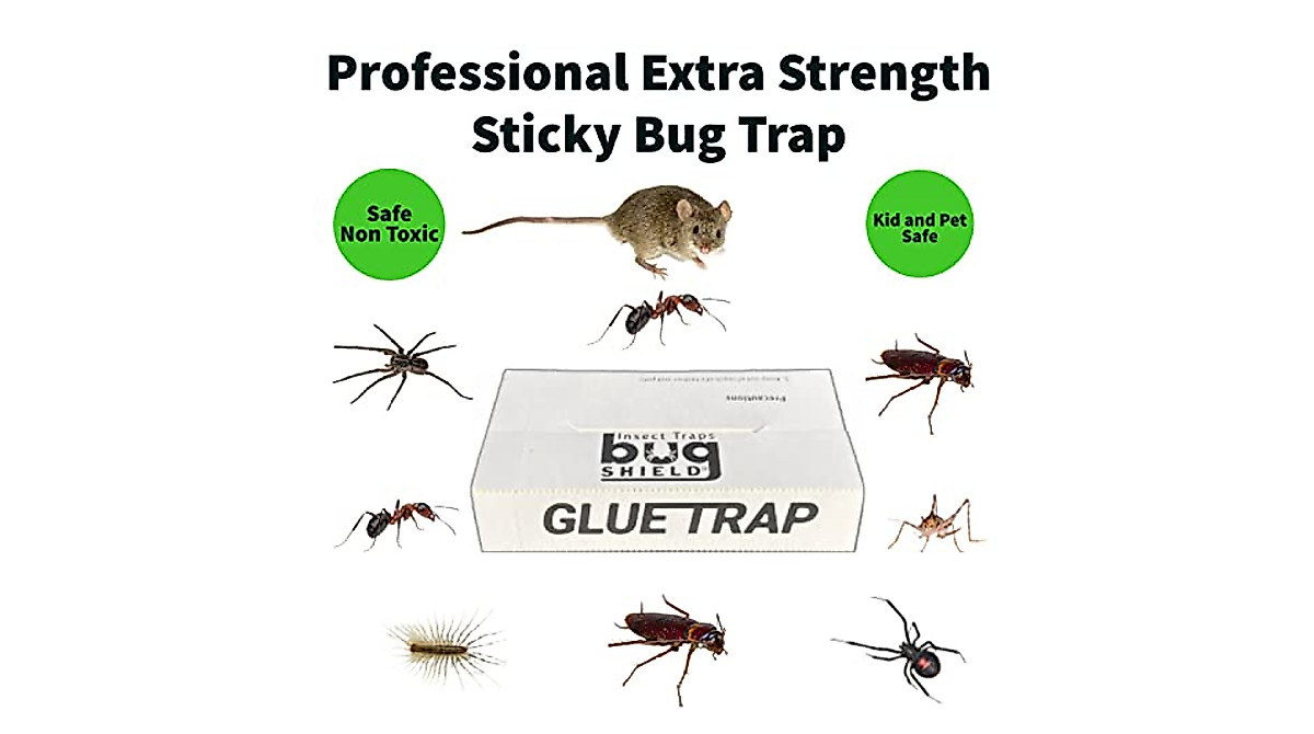 Effective Bug Shield Sticky Glue Traps – 12 Professional Boards