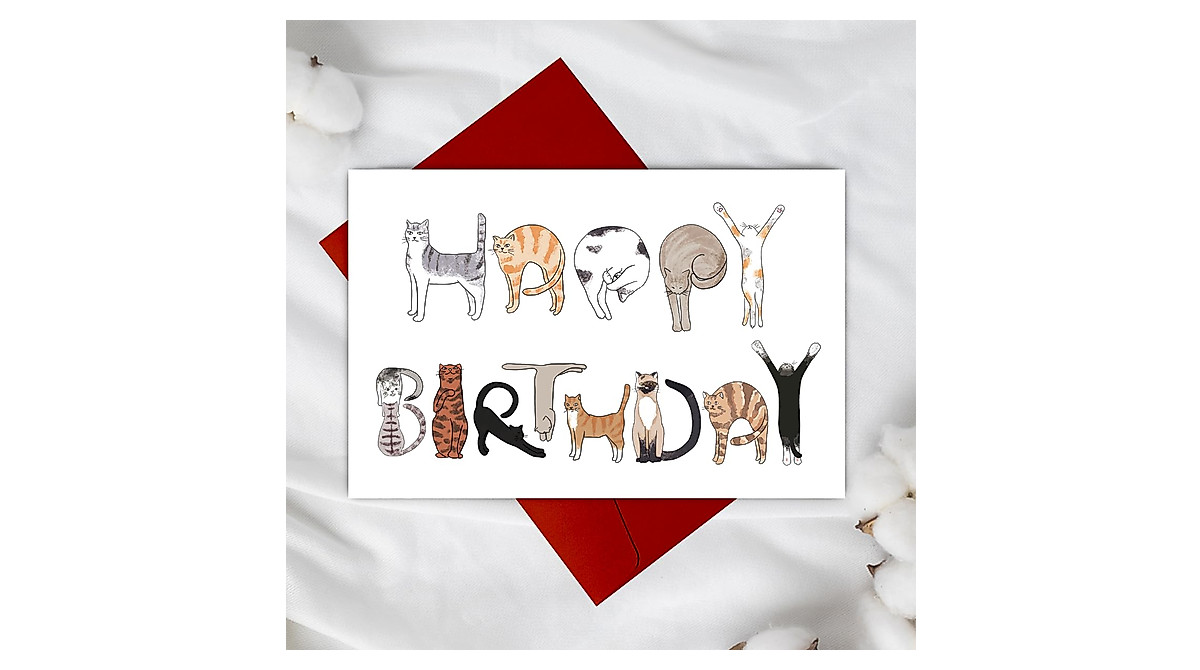 Funny Cat Lover Birthday Card - Bhiosng