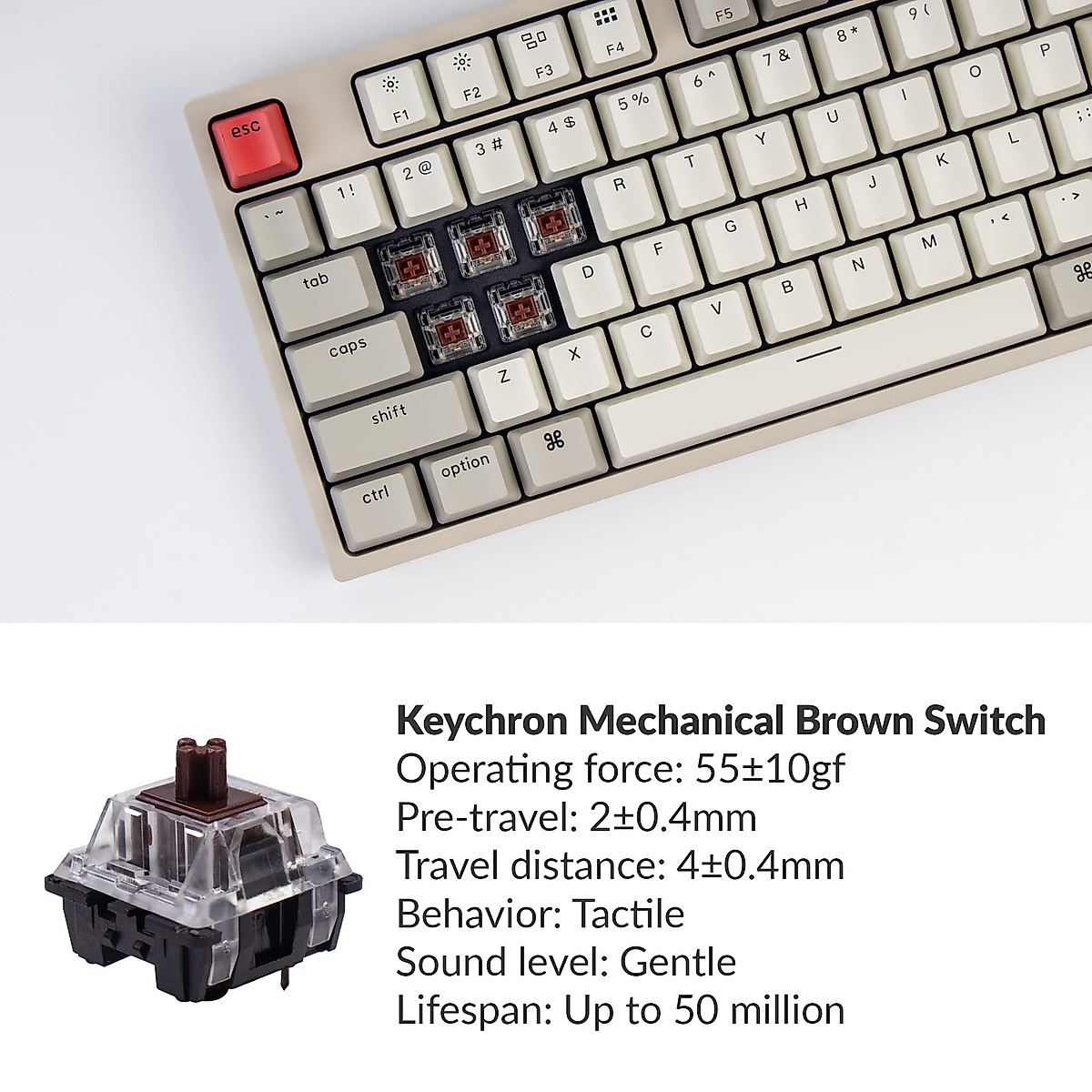 Keychron C1 Tenkeyless Mechanical Keyboard - Enhance Productivity