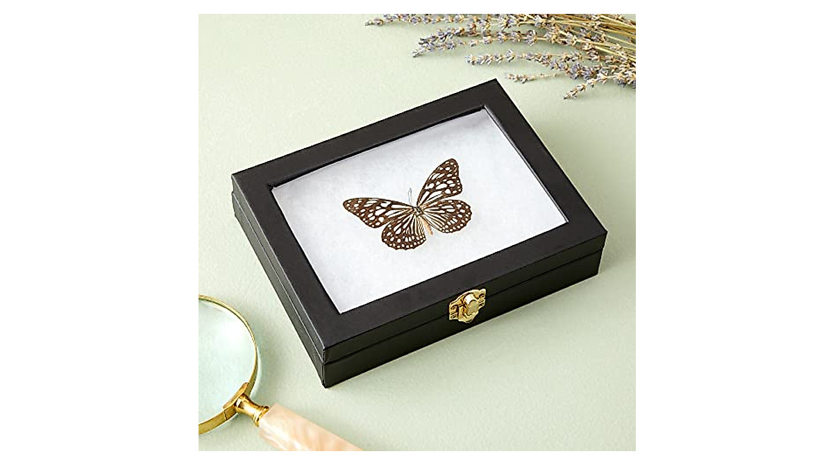 Juvale Insect Display Case - Elegant Butterfly & Bug Riker Mount