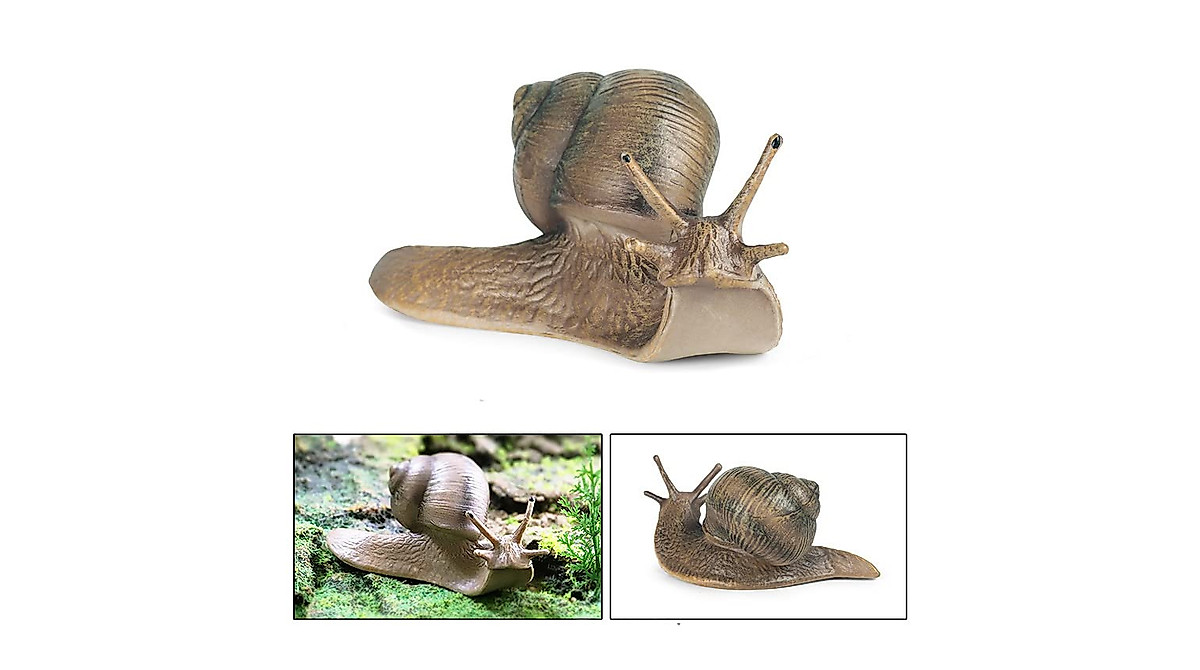 Rich Boxer Snail Figurines Set - 8 Realistic Models