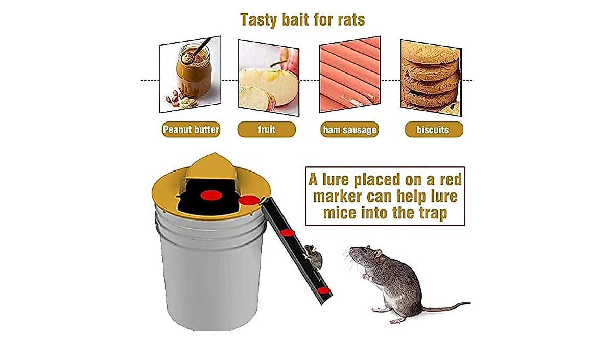 Automatic Reset Bucket Mouse Trap - Humane and Lethal Options