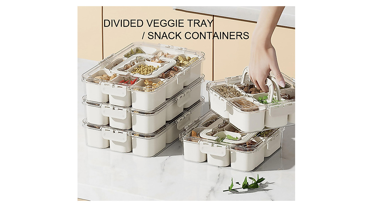 9-Compartment Divided Veggie Tray with Lid & Handle