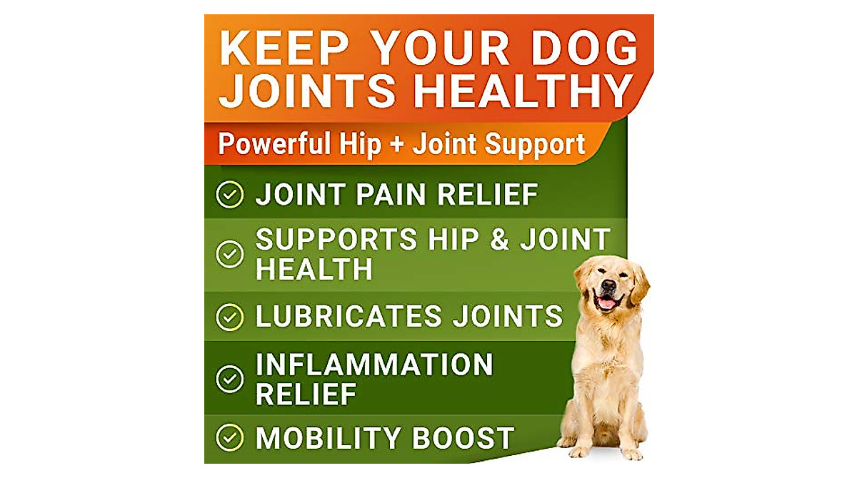 Image showcasing Glucosamine Treats for Dogs - Joint Pain Relief Chews