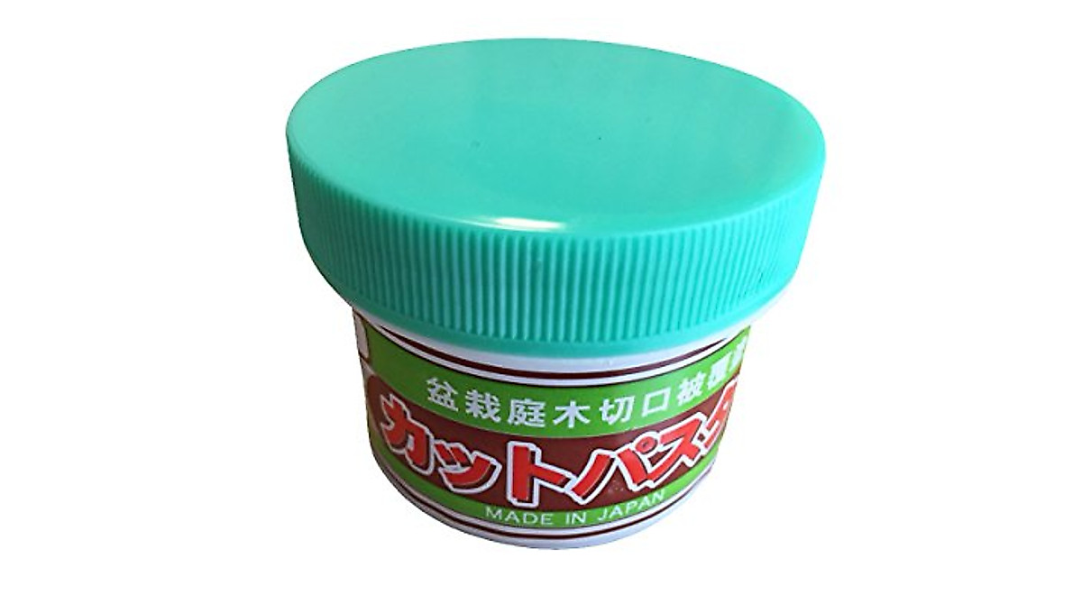 Cutpaster bonsai cut paste tool essential for bonsai care