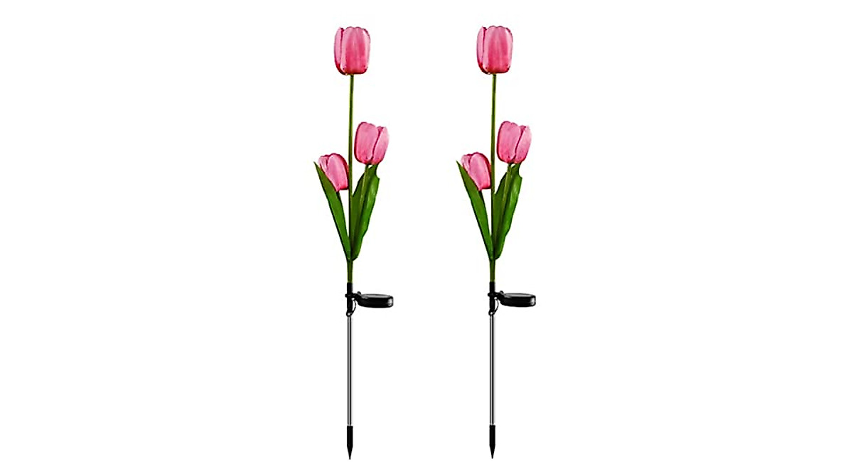 Aolyty Solar Garden Lights With Peony Flowers (2 Pack) - Dusk To Dawn LED Stake Lights, IP65 Waterproof, Rose Purple