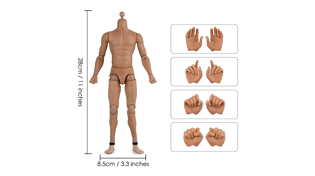 DS. DISTINCTIVE STYLE 1/6 Scale Male Body Narrow Shoulder Standard 12 ...