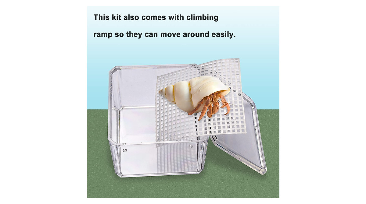 Ohoho Hermit Crab Water Tank with Climbing Ramps - Perfect Habitat