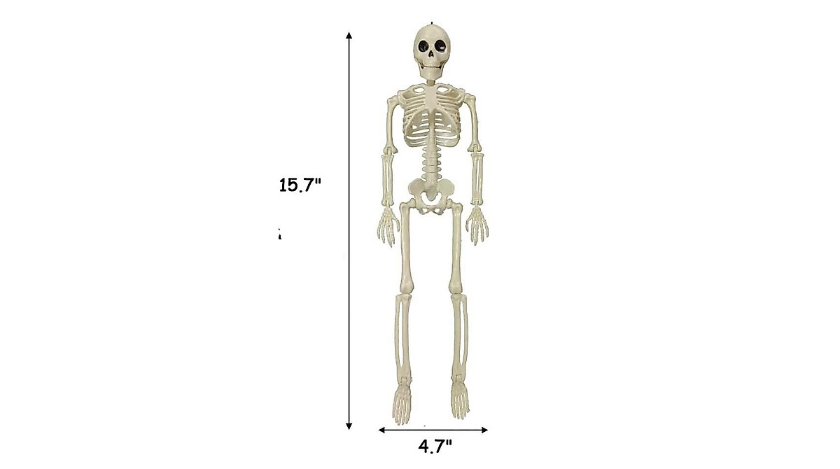 16'' Posable Skeleton for Halloween Decor