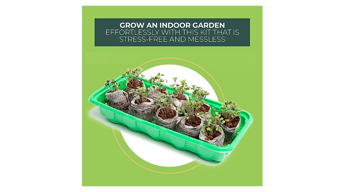 Window Garden Mini Greenhouse Seed Starter Kit