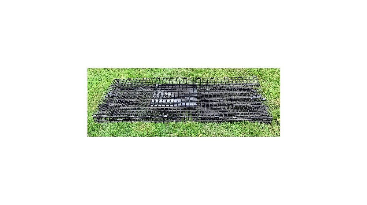 Humane Way Folding Live Animal Trap - Easy Setup & Safe Use