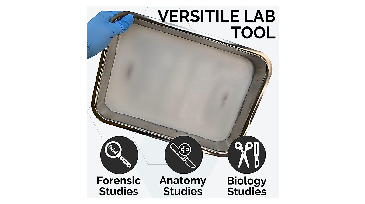 Eisco Labs Metal Dissecting Tray with Wax for Science Labs