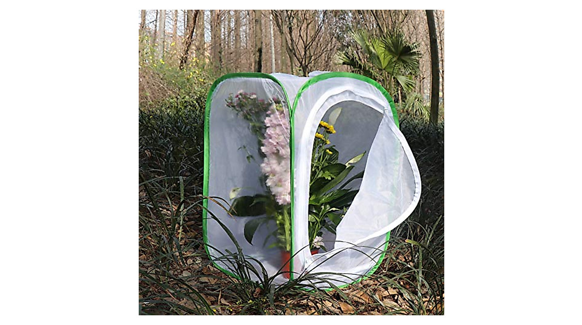 RESTCLOUD Butterfly Habitat Cage - Durable Pop-up Terrarium 24