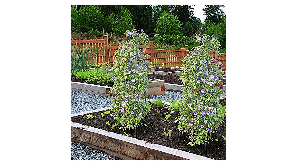 APSOONSELL Garden Trellis - Support for Climbing Plants