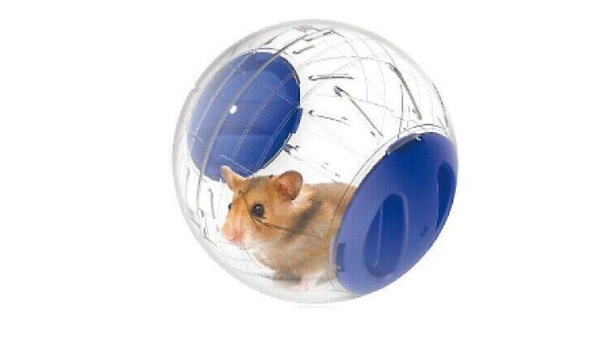 Curated visual reference: Visual Reference: Hamster Exercise Ball Fun Safe Toy For Small Pets
