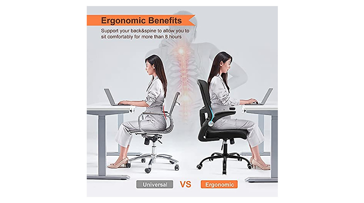 Ergonomic Nobofeeling Office Chair with Adjustable Lumbar Support