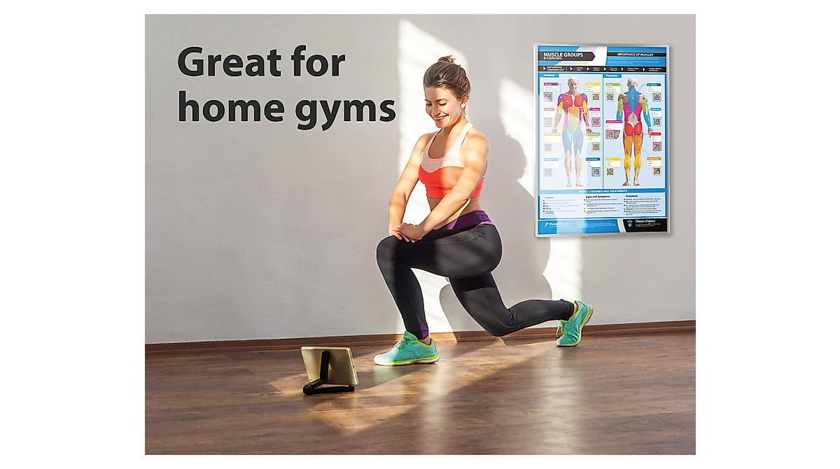 Gym Workout Posters - Transform Your Fitness Routine