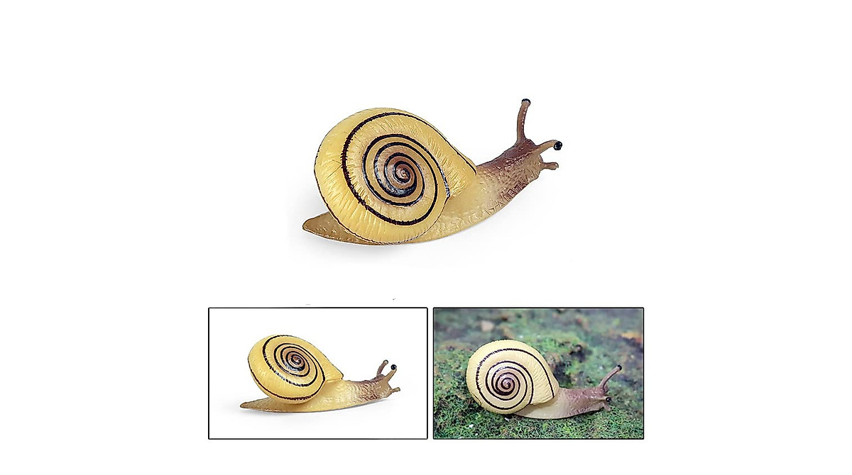 Rich Boxer Snail Figurines Set - 8 Realistic Models
