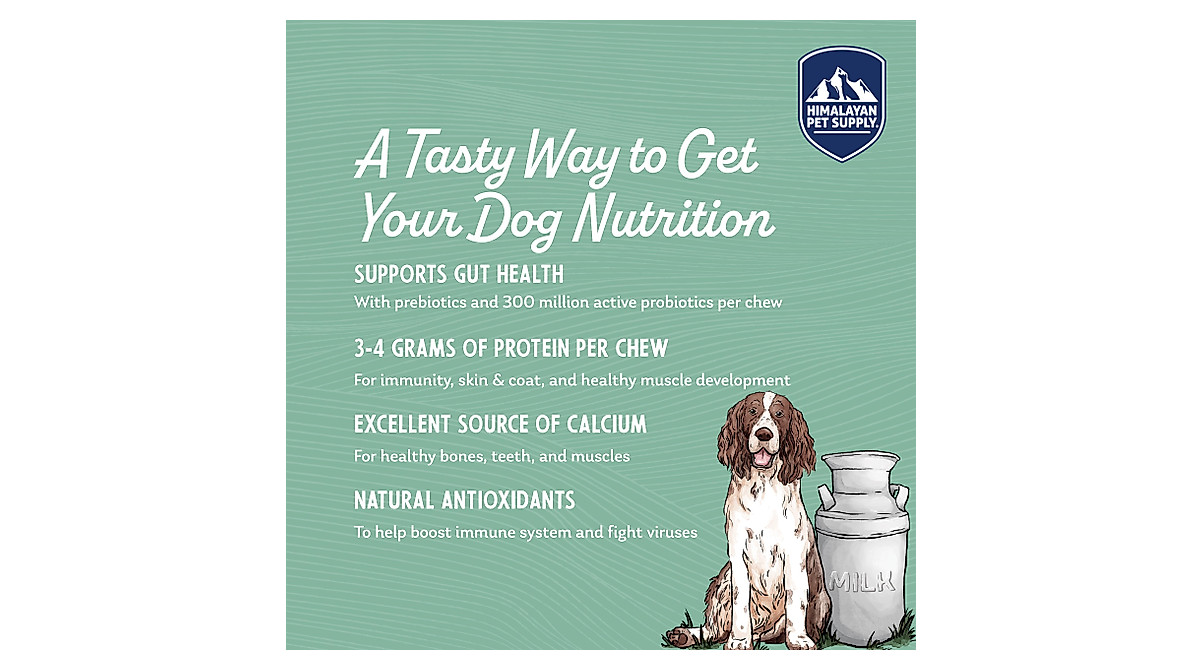 Healthy Yogurt Treats for Dogs - Lactose & Gluten Free