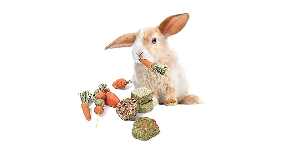 X-pet Rabbit Treats & Chew Toys for Small Pets