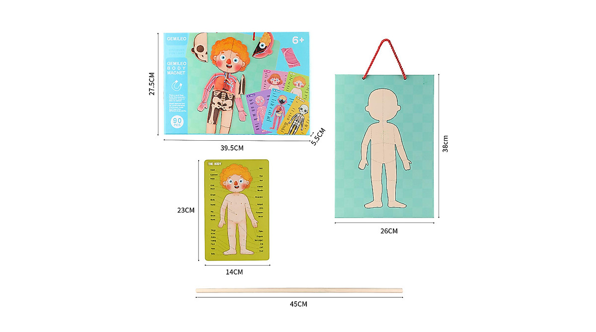 Human Body Puzzle for Kids - 90PCS Educational Toy