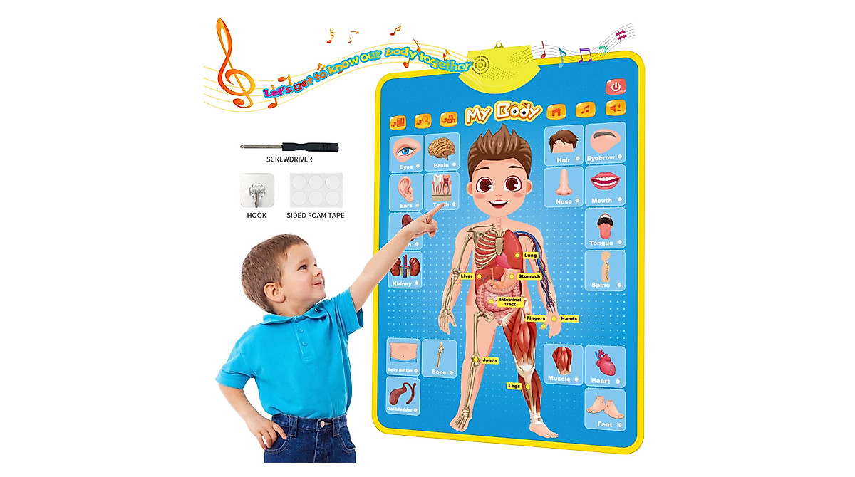 JOYLEARN My Body Educational Poster for Kids - Learn Body Parts & Organs