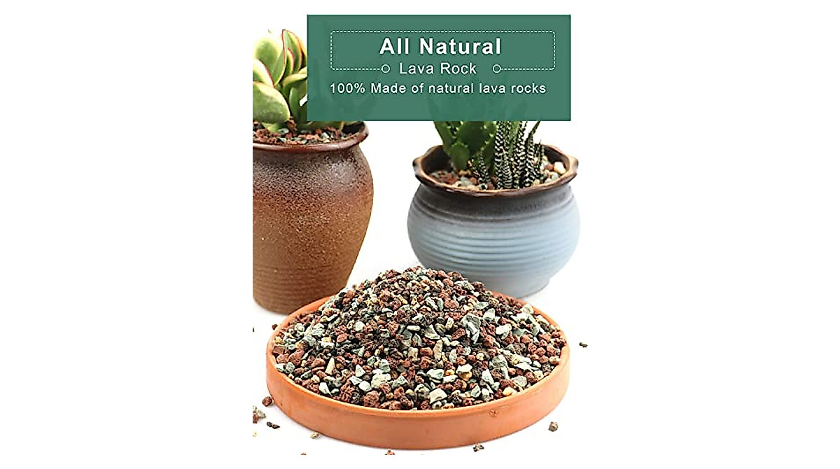 6lb Lava Rocks for Succulent & Cactus Plants